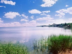 南海湿地景区