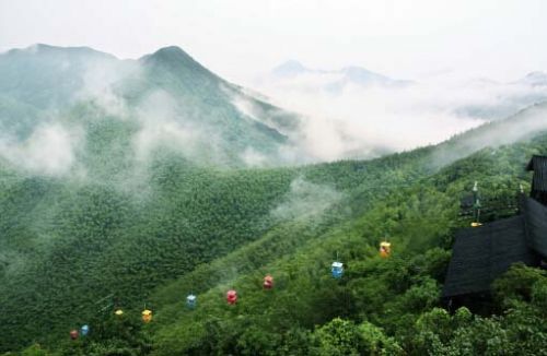 南山竹海