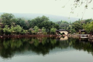 映山湖