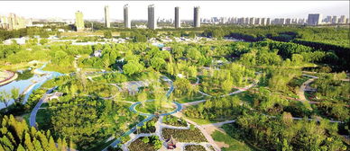 聊城植物园