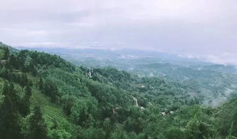 蒙顶山风景名胜区