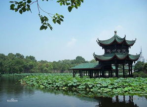 桂湖公园南门