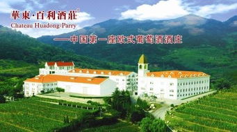 华东酒庄