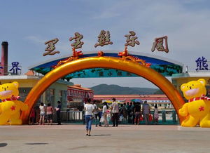 黑宝熊乐园